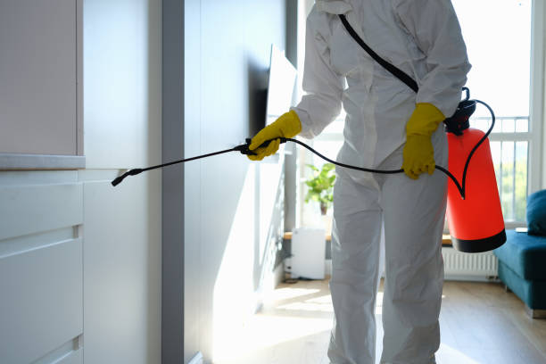Mold Testing and Removal in Forest Acres, SC